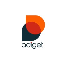 Adiget logo - Similar company to Digitalwebzoom