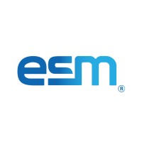 ESM Information Technology logo - Similar company to Spinsoft Information Technologies