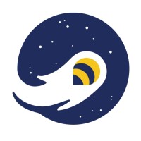 Cosmo Bee logo - Similar company to Intergravity Technologies Corporation
