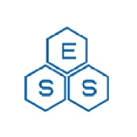 Emerald Software Solutions logo - Similar company to Emericia