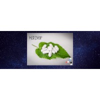 medishop logo - Similar company to Friendly Trust