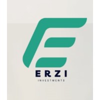ERZI Capital logo - Similar company to Bhft