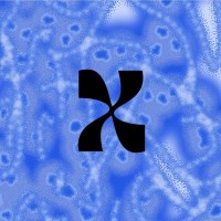 axion-e // tu monetización a un link. logo - Similar company to Accurance It