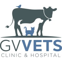 GV VETS logo - Similar company to Vet3D