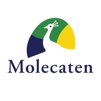 Molecaten | Campings en vakantieparken logo - Similar company to Hof Van Saksen