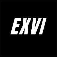 EXVI logo - Similar company to Avenida Autocentro