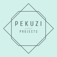 Pekuzi Projects logo - Similar company to Azale Communications