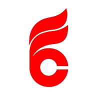 Beltiscool logo - Similar company to The Leather Store