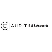 AUDIT B.M ET ASSOCIES logo - Similar company to Yakelectronics