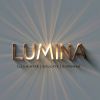 Lumina Global logo - Similar company to Carter Biggs