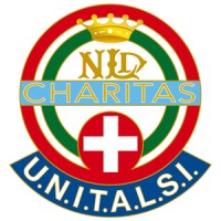 Unitalsi logo - Similar company to Training