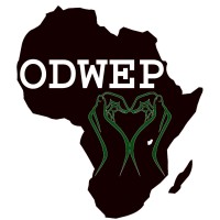 ODWEP: Overcoming Devastation and Opening Doors to Wholeness, Empowerment, and Possibility