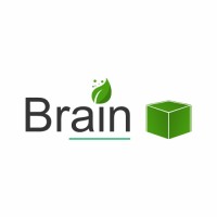 Brainbox Tech logo - Similar company to Data Tech Dealers
