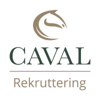 Caval logo - Similar company to Hr & Business As