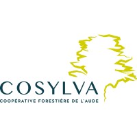COSYLVA logo - Similar company to Teckicea