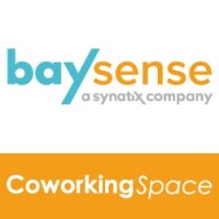 Baysense logo - Similar company to Energetic Helpers
