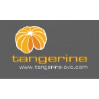 Tangerine: data-driven & shopper-marketing consultancy