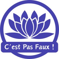 C'est pas faux ! logo - Similar company to Malheurs Actuels