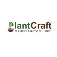 PlantCraft Analytics Private Limited logo - Similar company to Rakta Cure