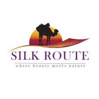 Silk Route logo - Similar company to Silk Route Shipping Ltd