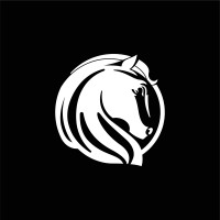 Alendis logo - Similar company to Ec2 Consulting Solutions
