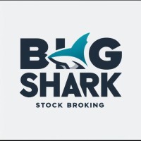 Big Shark logo - Similar company to Bigshark.Tech