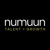 Numuun.io logo - Similar company to Mitchellake Group