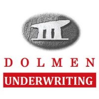 Dolmen Underwriting logo - Similar company to Property Partners Nationwide