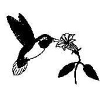 Caribbean Investments Ltd. logo - Similar company to Caribbean Regenerative Community Development (Crcd)
