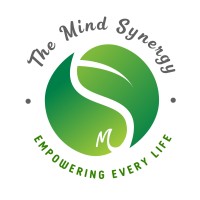 TheMindSynergy Pte Ltd logo - Similar company to Avenir Fintech