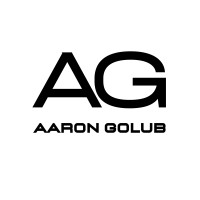 Aaron J. Golub, LLC logo - Similar company to Precision Search
