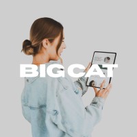 Big Cat Creative logo - Similar company to Zen Professional Development