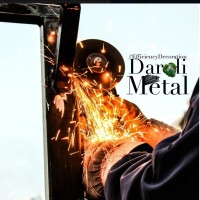 DAROLI METAL SRL GALATI logo - Similar company to European Immigration