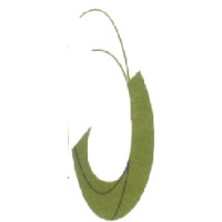 ANAMAR logo - Similar company to Calvopesca Sa