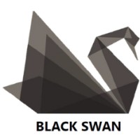 BLACK SWAN logo - Similar company to Blackswan Technologies