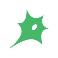 Connectome