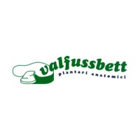 Valfussbett Srl logo - Similar company to Studio Provalue