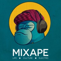 MIXAPE logo - Similar company to Pragminfo – L’Expertise Numérique Au Service Des Pme