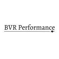 BVR Performance logo - Similar company to Aces And Eights Foundation