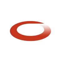 Capricode Systems logo - Similar company to Connax