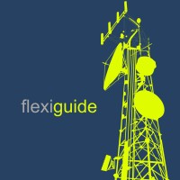 Flexiguide Ltd logo - Similar company to Gen3D