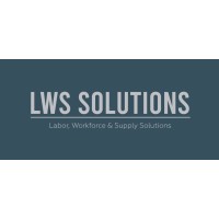LWS Solutions logo - Similar company to Dev-Commerce