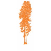 Redwood Orange