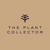 The Plant Collector logo - Similar company to Daaig Ltd
