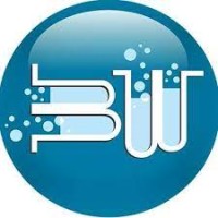 Brainwave Healthcare logo - Similar company to Brainwave Medical Technologies