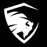 Bisontech logo - Similar company to Gdsc - Uanl