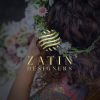 Zatin Designers logo - Similar company to Pracol.Com