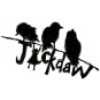Jackdaw