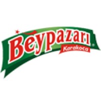 Beypazarı Doğal Maden Suyu logo - Similar company to Sultan İçecek