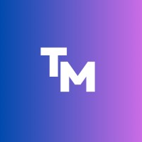 TechMind logo - Similar company to Techmind Wizard Solutions